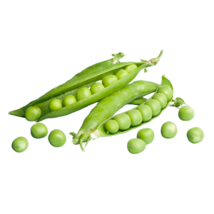 بسلة بلدي500جرام