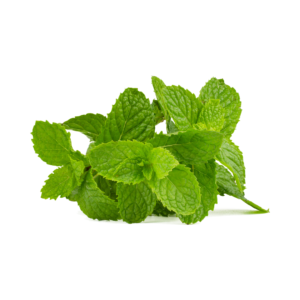 نعناع أخضر 100جرام (تقريبا)