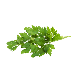 نعناع أخضر 100جرام (تقريبا) (نسخة)