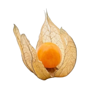 حرنكش 250جرام